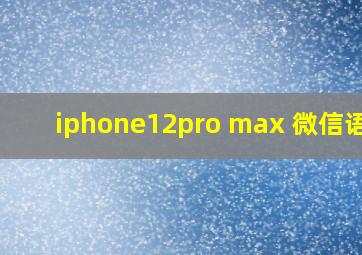 iphone12pro max 微信语音